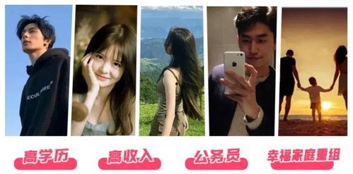 单身嘉宾资料,探寻他们的独特魅力与生活轨迹