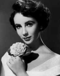 个人资料泰勒,探索人生哲学与心灵成长的智慧之旅