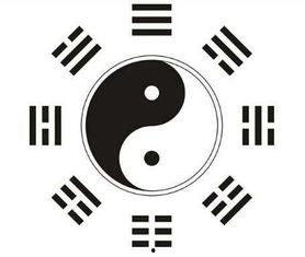 新快论坛八卦体,揭秘明星们的幕后恩怨情仇